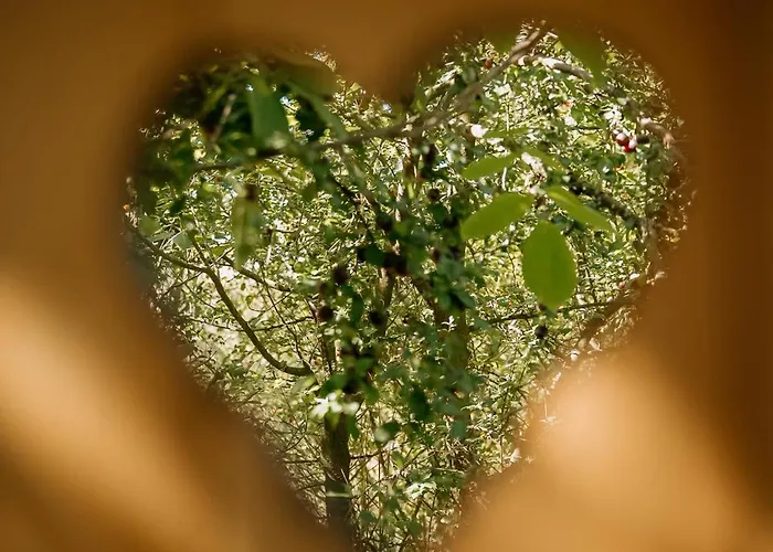 Luxury tent Forest Okor