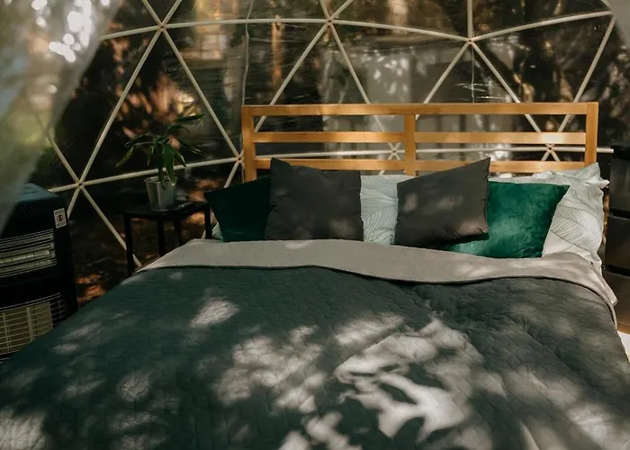 Luxury tent Forest *
